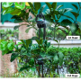 PC Micro Sprinkler for Slope Irrigation Farm Watering
