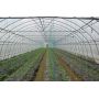hanged micro Rotating sprinkler irrigation system