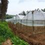 Drip Tape with Double Line for Irrigation 