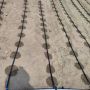 0.8L/h Flat Emitter Drip Tape for Irrigation system